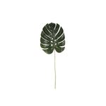 Hoja-Monstera-60cm-S-m-1-869662