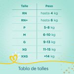 Pa-ales-Pampers-Premium-Care-Gde-72-3-869994