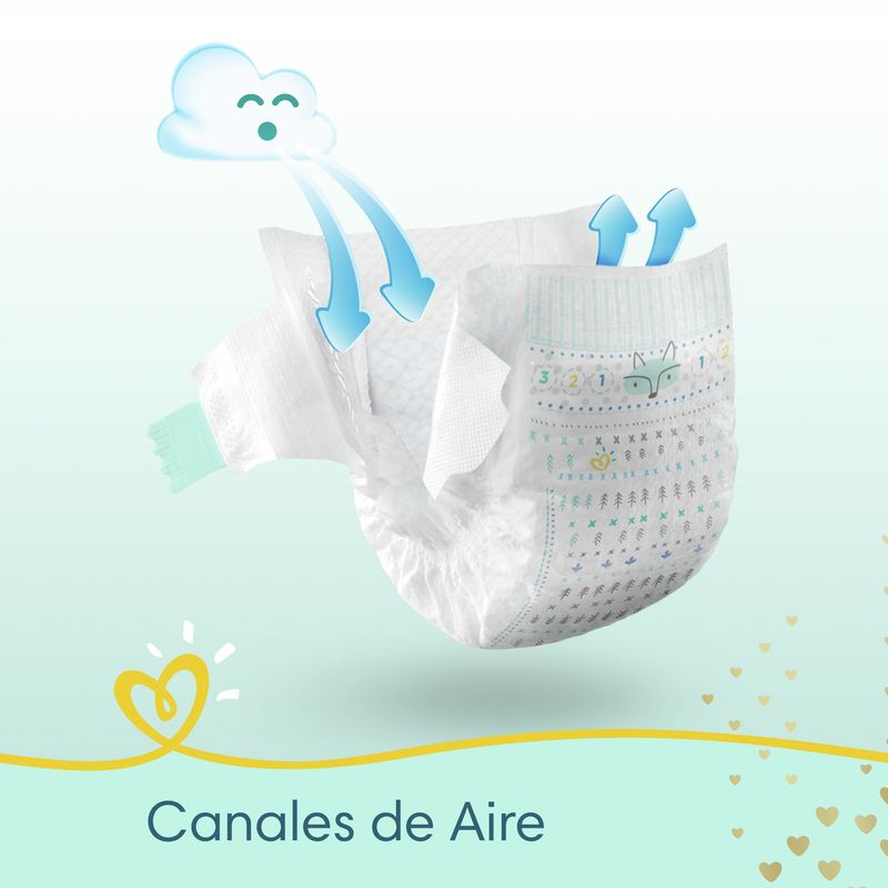 Pa-ales-Pampers-Premium-Care-Gde-72-5-869994