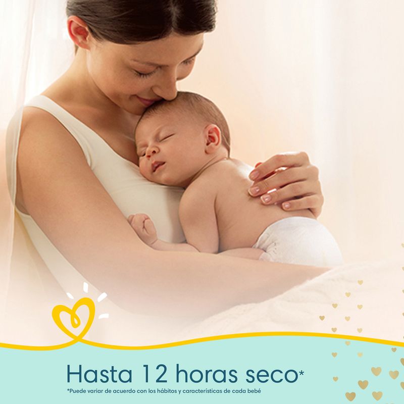 Pa-ales-Pampers-Premium-Care-Gde-72-10-869994