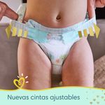 Pa-ales-Pampers-Premium-Care-Xxg-54-4-870002