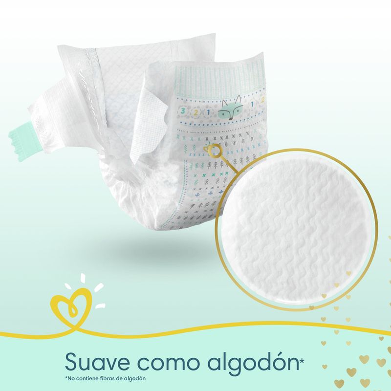Pa-ales-Pampers-Premium-Care-Xxg-54-9-870002