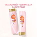 Sham-sedal-Colageno-Y-Vitaina-C-340ml-6-874788