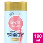 Sham-Sedal-Hialu-Y-Vitamina-A-190ml-1-874764