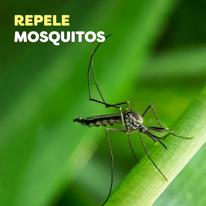 Repelente-Para-Mosquitos-Off-Extra-Duraci-n-Crema-90-Gr-3-11576