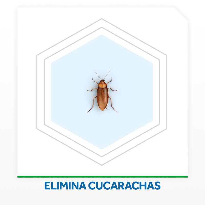 Insecticida-Raid-Mata-Cucarachas-Y-Ara-as-Sin-Olor-Max-En-Aerosol-360-Cc-4-46950