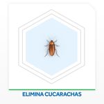 Insecticida-Raid-Cocina-Mata-Cucarachas-En-Aerosol-360-Cc-4-150199