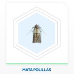 Aerosol-Anti-Polillas-Raid-360-Ml-5-34750