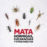 Insecticida-Raid-Casa-Y-Jard-n-En-Aerosol-360-Cc-3-17811