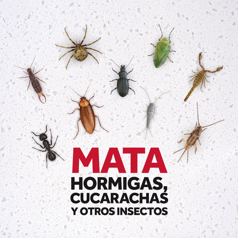 Insecticida-Raid-Casa-Y-Jard-n-En-Aerosol-360-Cc-3-17811