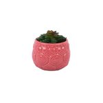 Suculenta-En-Maceta-Ceramica-Marrakech-Pvc-Ceramica-1-852275