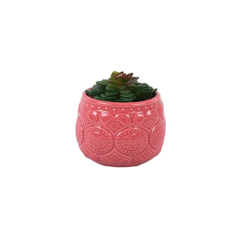 Suculenta-En-Maceta-Ceramica-Marrakech-Pvc-Ceramica-1-852275