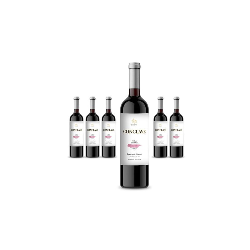 Conclave-Cabernet-Cabernet-Franc-bot-cc-750-1-231127