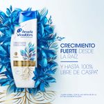 Head-Shoulders-Sh-Fuerza-De-Raiz-700ml-10-871394