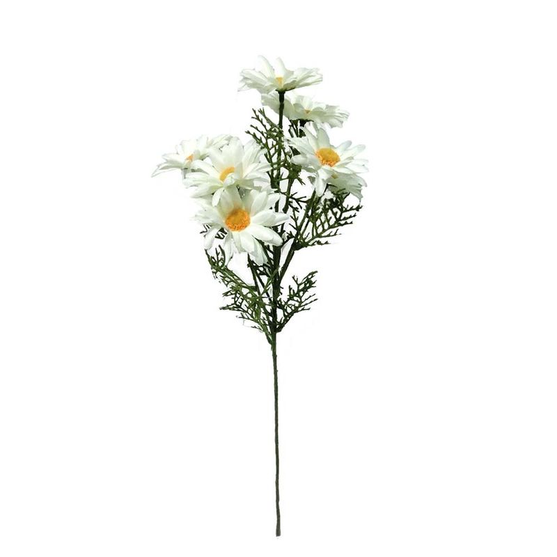 Margarita-55-5cm-Tm-55-5cm-1-572933