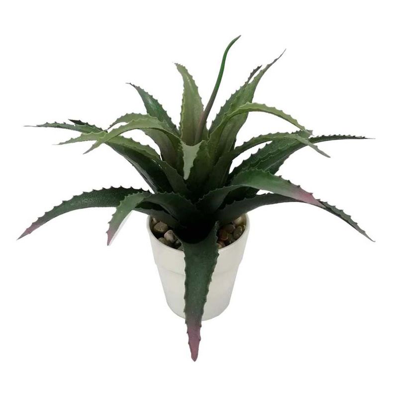 Planta-En-Maceta-D2-25cm-1-857702
