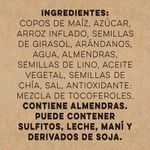 Granola-Maizena-Alm-Y-Arand-X250g-4-853677