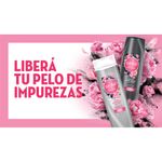 Shampoo-Sedal-Carbon-Activado-340ml-4-855104