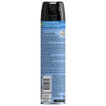 Aerosol-Raid-Mmm-370ml-3-876631
