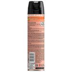 Aerosol-Raid-Casa-Y-Jardin-360ml-3-876637