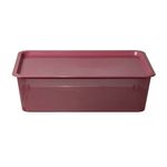 Caja-Plastica-Promocional-13l-4c-Aa-43-5x29-5x13cm-3-853716