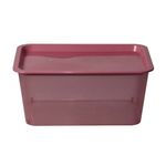 Caja-Plastica-Promocional-6l-8c-Aa-29-5x21-5x13cm-6-853715