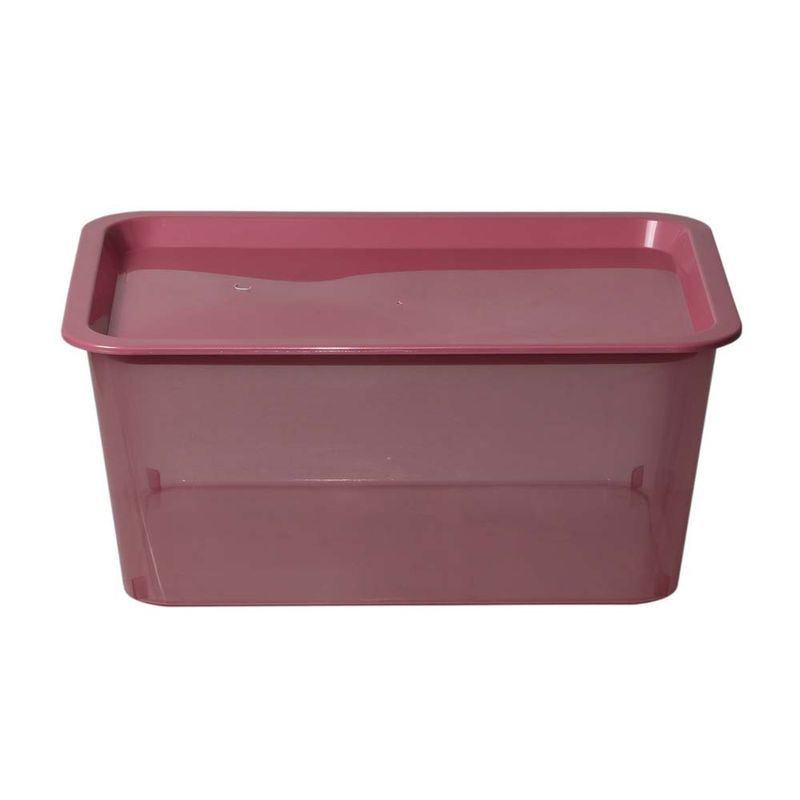 Caja-Plastica-Promocional-6l-8c-Aa-29-5x21-5x13cm-6-853715