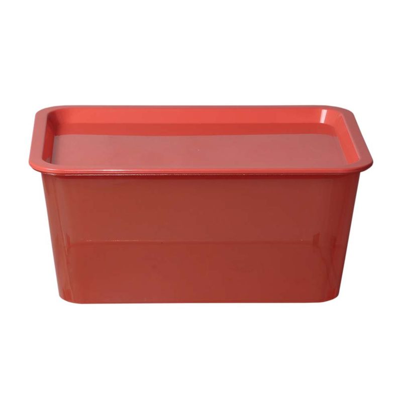Caja-Plastica-Promocional-6l-8c-Aa-29-5x21-5x13cm-7-853715