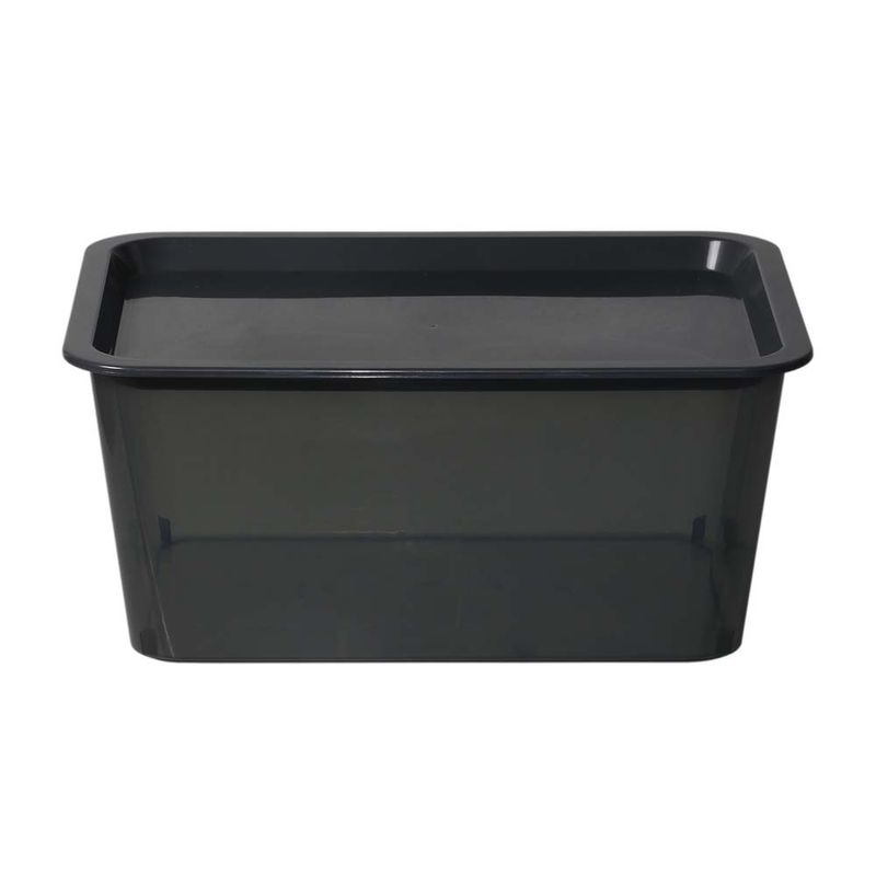 Caja-Plastica-Promocional-6l-8c-Aa-29-5x21-5x13cm-1-853715