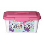 Caja-Plastica-6l-Teen-Girl-1-22-33-5x19-5x17cm-1-857933