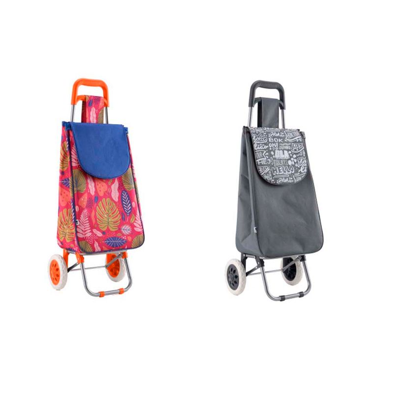 Set-Carro-De-Compras-Diseno-2d-Q2-1-858503