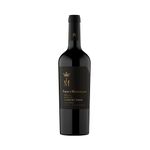 Vino-Fabre-Terru-o-Cabernet-Franc-Bot-750cc-1-879235