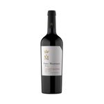 Vino-Fabre-Terru-o-Cabernet-Sauvignon-Bot-750c-1-879238