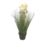 Ramas-En-Flor-Hanoi-2c-43cm-1-857757