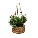 Flor-Colgante-Natural-42cm-1-857782