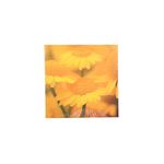 Pdq-Canvas-20x20cm-Mundos-01-16d-20x20x1-5cm-2-858191