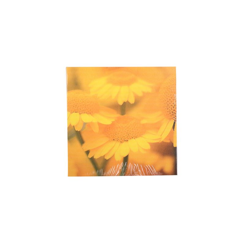 Pdq-Canvas-20x20cm-Mundos-01-16d-20x20x1-5cm-2-858191
