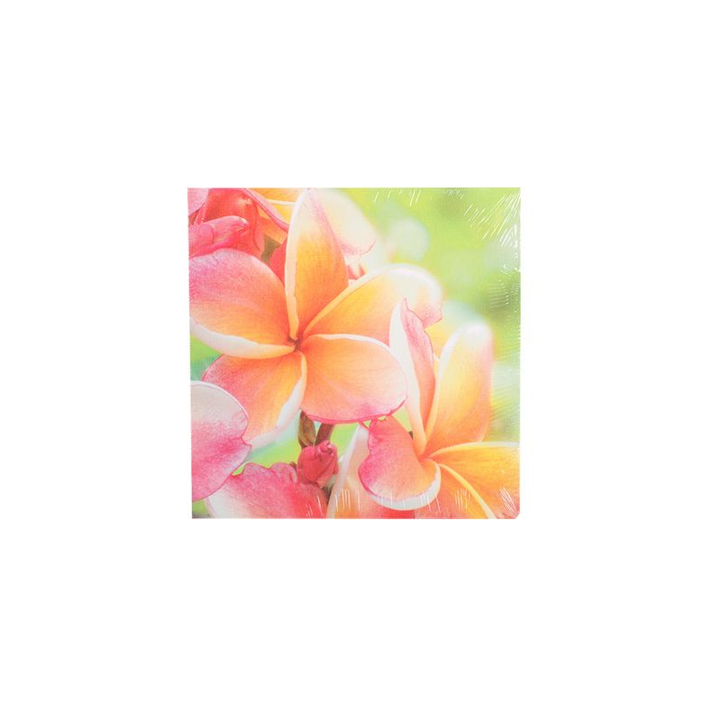 Pdq-Canvas-20x20cm-Mundos-01-16d-20x20x1-5cm-3-858191