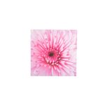 Pdq-Canvas-20x20cm-Mundos-01-16d-20x20x1-5cm-1-858191