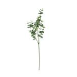 Follaje-Eucalipto-92-Cm-92cm-1-858097