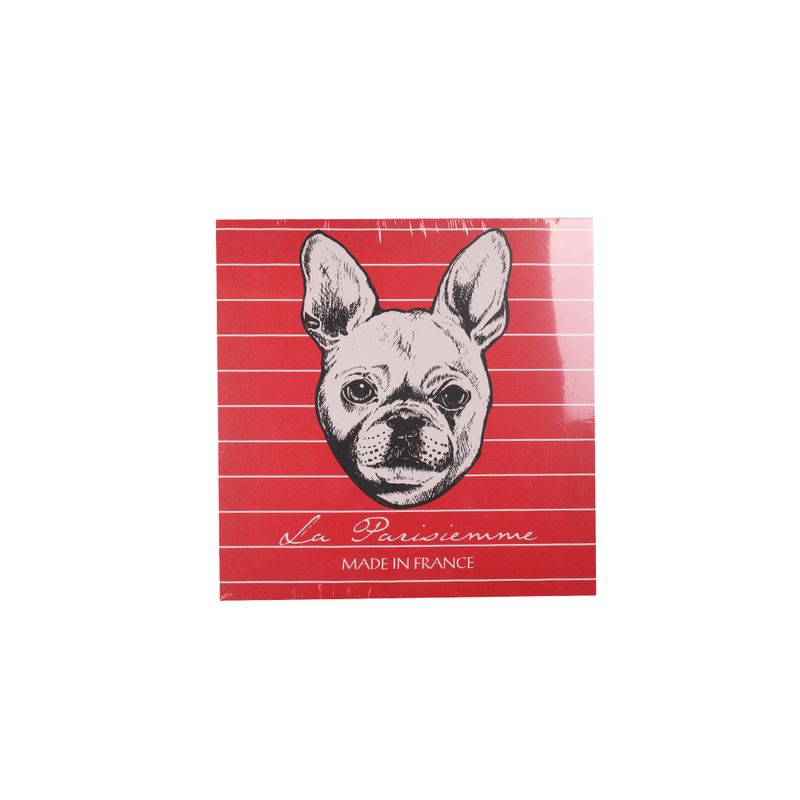 Canvas-40x40-Cm-Mundos-2-858193