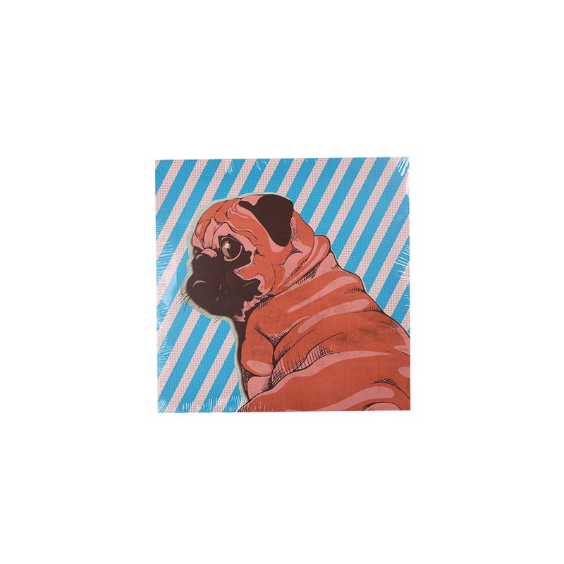 Canvas-40x40-Cm-Mundos-1-858193