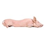 Lechon-Congelado-Kg-1-Kg-Costanzo-1-14309