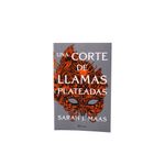 Una-Corte-De-Llamas-Plateadas-Planeta-1-879965