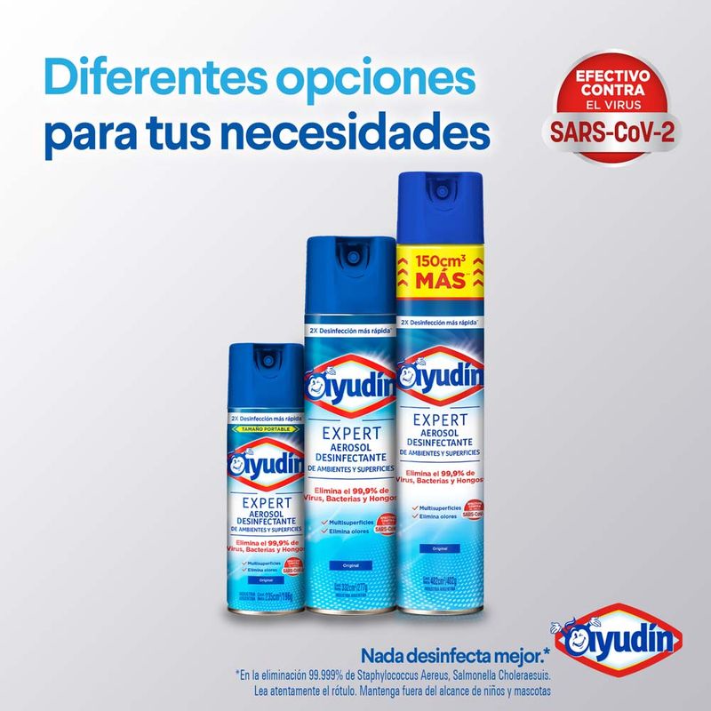 Aerosol-Desinfectante-Ayudin-Expert-Frescura-Matinal-332-Ml-6-875240