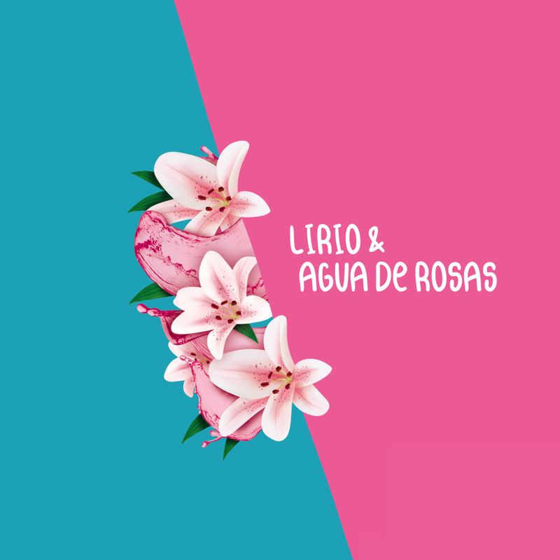 Jab-n-En-Barra-Suave-Lirio-Y-Agua-De-Rosas-3x90-G-Multipack-4-711138