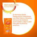 Shampoo-Sedal-Restauracion-300ml-4-402785