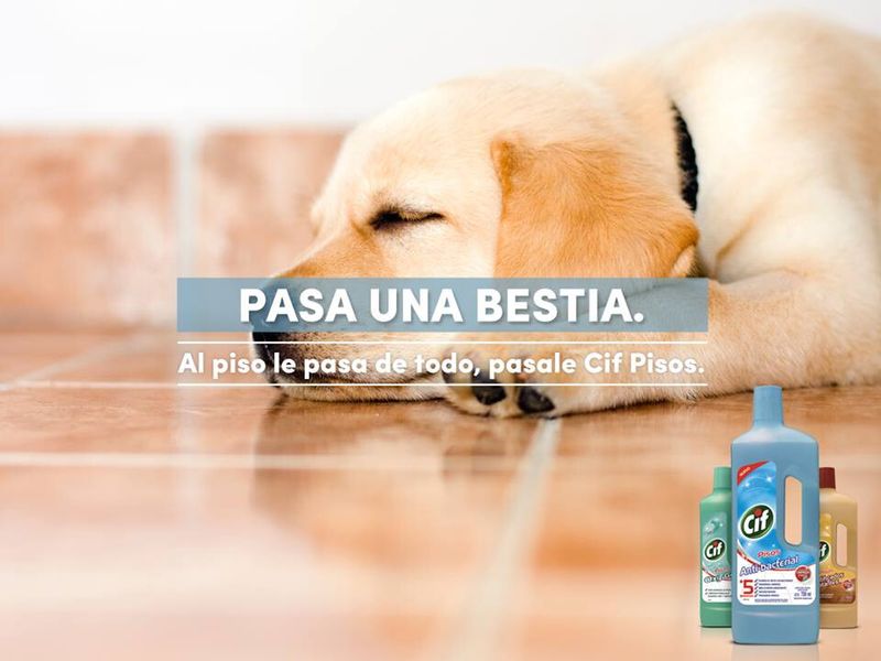 Limpiador-De-Pisos-Cif-Lavanda-Y-Orqu-deas-750-Ml-4-39852