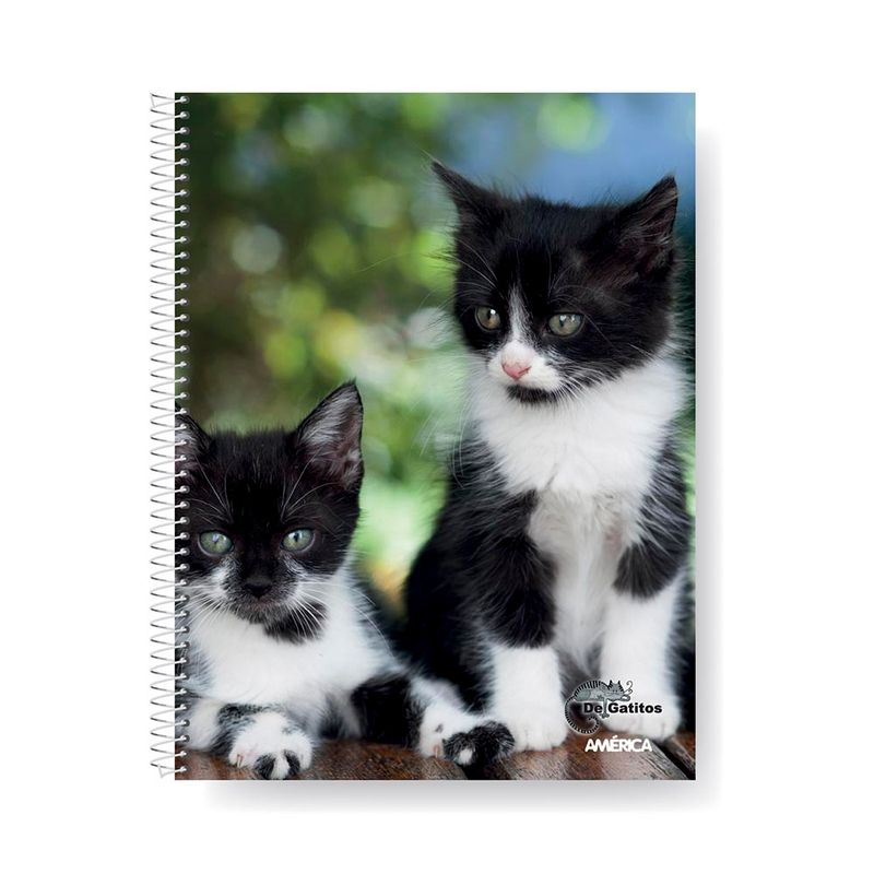 Cuaderno-America-29-7cm-Gatitos-Raya-T-f-80-H-2-882612