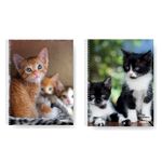 Cuaderno-America-29-7cm-Gatitos-Raya-T-f-80-H-1-882612